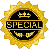 Gold special badge with crown and laurel